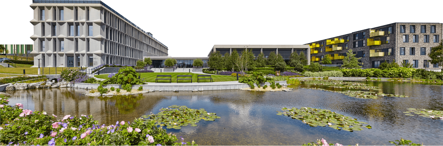 Outside of IBSA facilities in Chelmsford with pond in the front